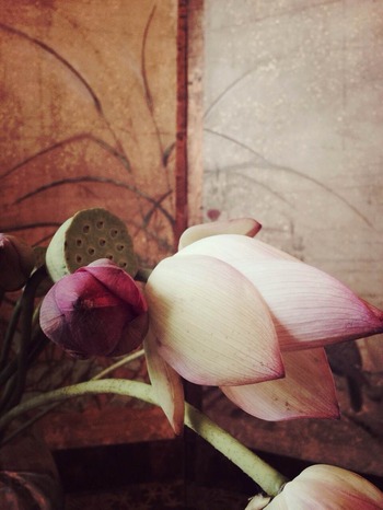 photo2