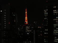 toukotower