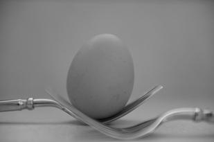 egg