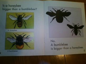 english book