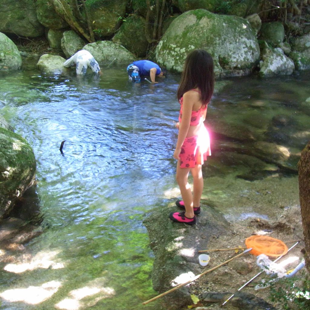 屋久島の夏休み 犬も歩けば どこかにあたる 屋久島の夏休み 犬も歩けば どこかにあたる