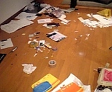 �ǥ�����Ϥ���