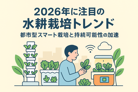 2026年に注目の水耕栽培トレンド 都市型スマート栽培と持続可能性の加速 : サラダプラント