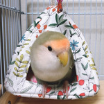 0e51ef7089f7a22bccd72e1e2d9d712193bebea5-1203a