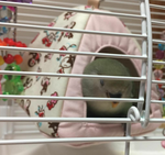 Screenmemo_2017-04-08-23-07-22a