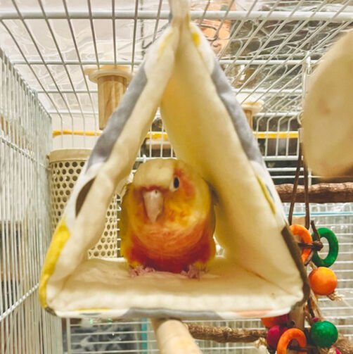 37dc40b1675808fd1a2323090614a3a8f2134ecc-a