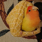 dcada3240bc496d10868b22a8f5ab4595fb32273-1203a