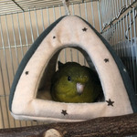 3f0fb111388592b8279c00301dcfb4765e5436a5a