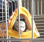 12047170_615105751971426_1933832963506620160_na