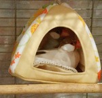 IMG_20171104_122329_755a