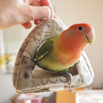 PSX_20180224_145355a