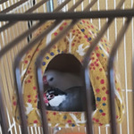 IMG_20180214_125224a