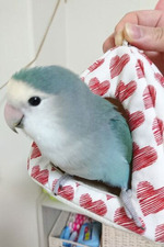 47081ccfac220f36a4c417938ad69f2dd769eb2c