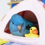 IMG_20150120_090742 480