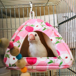 bd63833044ae65038a6b7566c2a4c69f8aad1c47-a