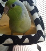 Ro9dQL3mEb3aJO91462454325_1462454342