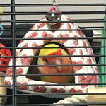 1a22fbbffa60f299f2cf34af7c67e3c98e59071ca