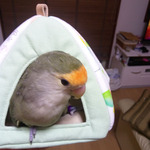 IMG_20180720_191914a