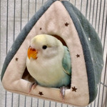 d6fdb07257d3b27e14b188d26a7ed77eedb65621a