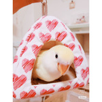 ぴのちゃん　ブログ用