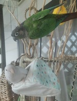 0BJFDO7rnvB2bUB1462685429_1462685437