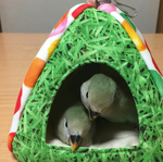 Screenmemo_2017-04-08-23-06-15a