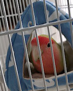 0111-1202　ゆずちゃんa