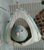 GBlyBRiHsBp8_kU1462685339_1462685352