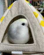 6efceff79ac6365ed819b7a84eaf4d96d0f6d6f2　1228a