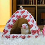 592dd02f9e9b897a2a4b00157632035b0abe6f3ea