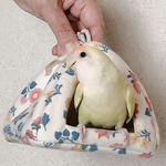 4f5f3afac8b66563c292e8b1c7f2ab5372ec424e