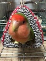 received_695100237278392