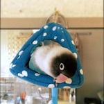 24172334_1177489352385354_1369114225_n