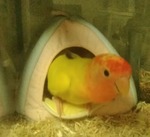 IMG_20170821_195506a