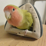 08397436f1b4e22094194ccce5bb80fef62e63bc-0108a