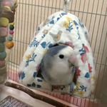 Screenmemo_2020-01-07-00-40-42-0106-ララちゃんa