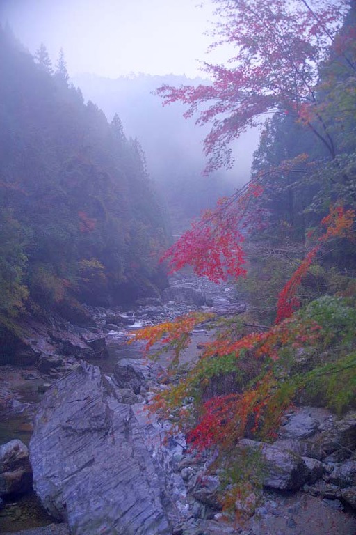 雨の安居渓谷 紅葉 鬼ヶ城山景 雨の安居渓谷 紅葉 鬼ヶ城山景