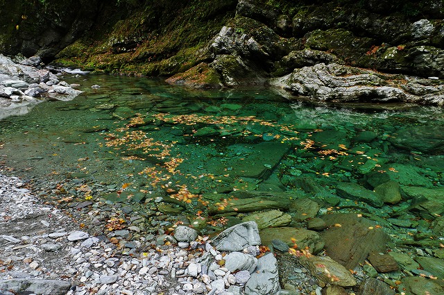 仁淀ブルー 秋の安居渓谷 水晶淵 鬼ヶ城山景 仁淀ブルー 秋の安居渓谷 水晶淵 鬼ヶ城山景