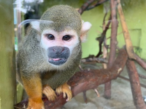 91E06099-C99B-4B00-9B99-EC8922267236