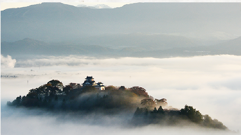 越前大野城
