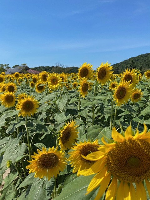 皆さんはじめまし (1)