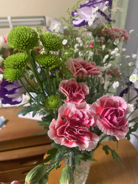❁カーネーション❁
