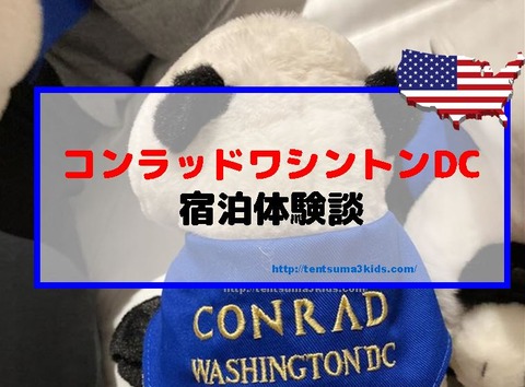 キャプチャdas