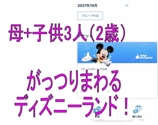 体験談 ディズニー3人子連れ 親一人でどれだけ回れる 子供3人 元リケジョ転勤妻の奮闘記 体験談 ディズニー3人子連れ 親一人でどれだけ回れる 子供3人 元リケジョ転勤妻の奮闘記