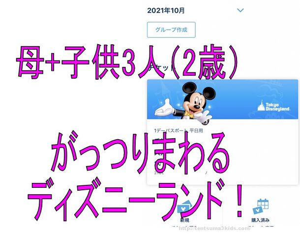 体験談 ディズニー3人子連れ 親一人でどれだけ回れる 子供3人 元リケジョ転勤妻の奮闘記