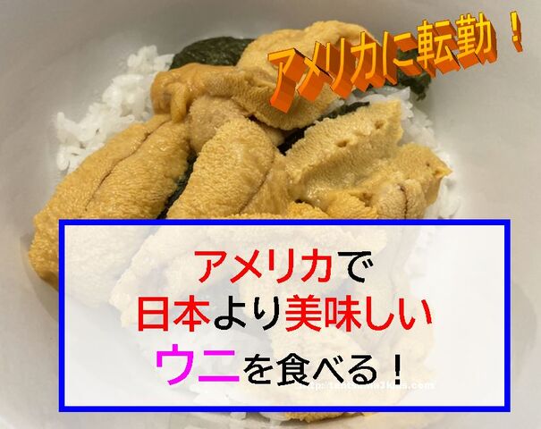 メイン州ポートランド 塩水ウニ を食べに行く 食べれる時期は 8月に訪問 子供3人 元リケジョ転勤妻の奮闘記 メイン州ポートランド 塩水ウニ を食べに行く 食べれる時期は 8月に訪問 子供3人 元リケジョ転勤妻の奮闘記