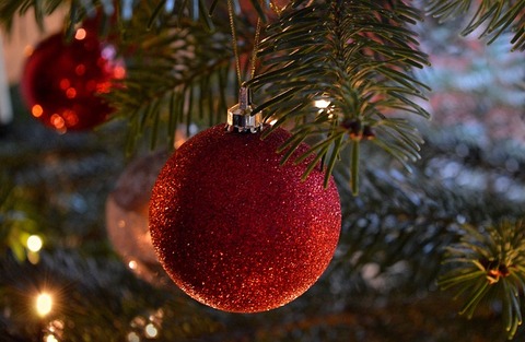christmas-tree-ga32c2618a_640