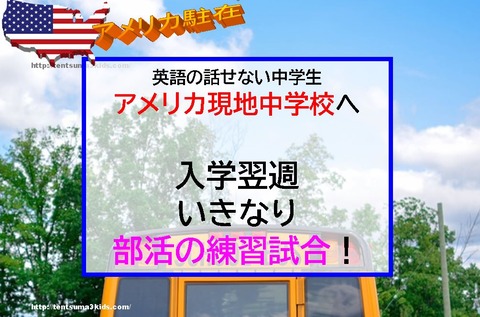 キャプチャlp