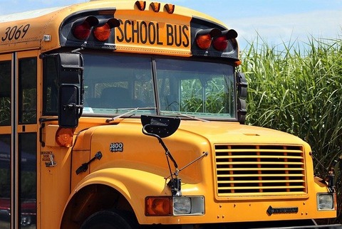 school-bus-4406479_640