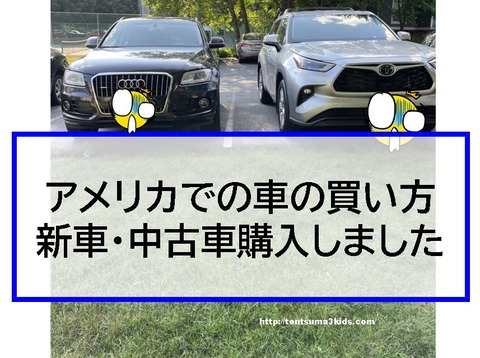 体験談 アメリカで車を購入 高い 新車 中古 日本との違いについて 駐在 子供3人 元リケジョ転勤妻の奮闘記